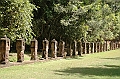 346_Cambodia_Angkor_Preah_Khan