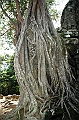 361_Cambodia_Angkor_Ta_Som