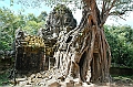 363_Cambodia_Angkor_Ta_Som