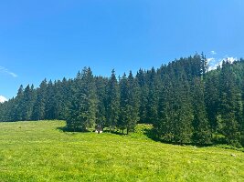 114_Austria_Ennstal_Steirischer_Bodensee