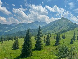 150_Austria_Ennstal_Schladming