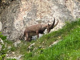 164_Austria_Ennstal_Wimbachklamm
