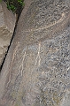 242_Azerbaijan_Qobustan_Petroglyph_Reserve