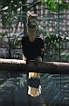 453_Kuala_Lumpur_Bird_Park