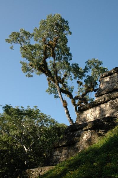 260_Guatemala_Tikal.JPG