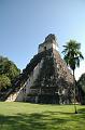 276_Guatemala_Tikal