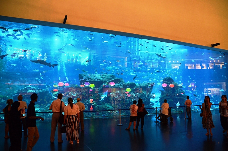 168_Dubai_Mall_Aquarium.JPG
