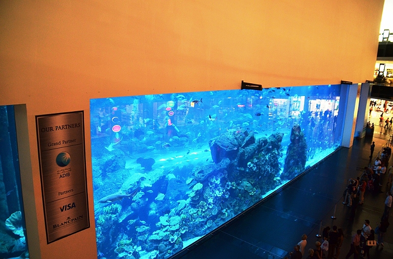 173_Dubai_Mall_Aquarium.JPG