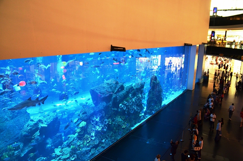 174_Dubai_Mall_Aquarium.JPG