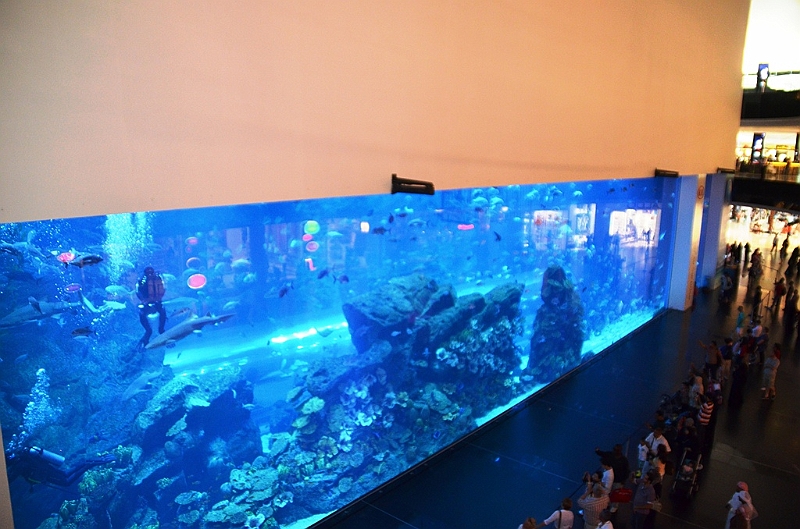 175_Dubai_Mall_Aquarium.JPG