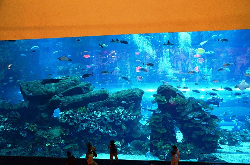 181_Dubai_Mall_Aquarium.JPG
