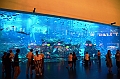 168_Dubai_Mall_Aquarium
