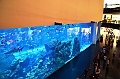 174_Dubai_Mall_Aquarium