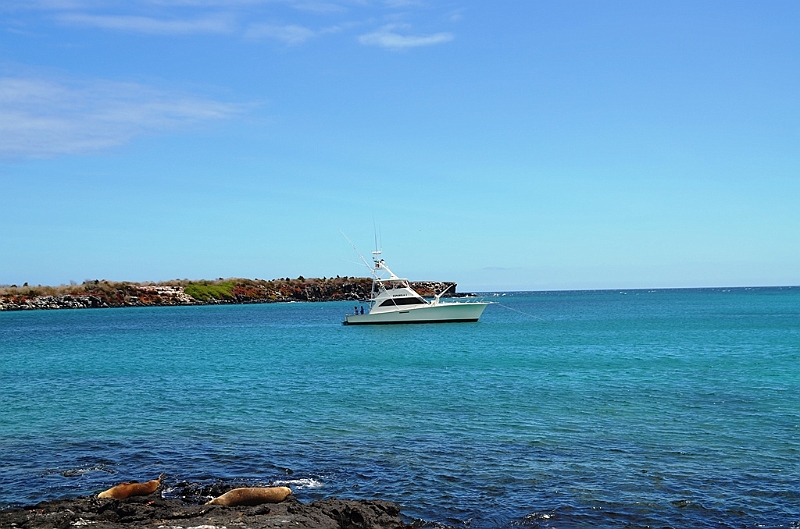 661_Ecuador_Galapagos_Islas_Plazas_South_Boot_Tour.JPG