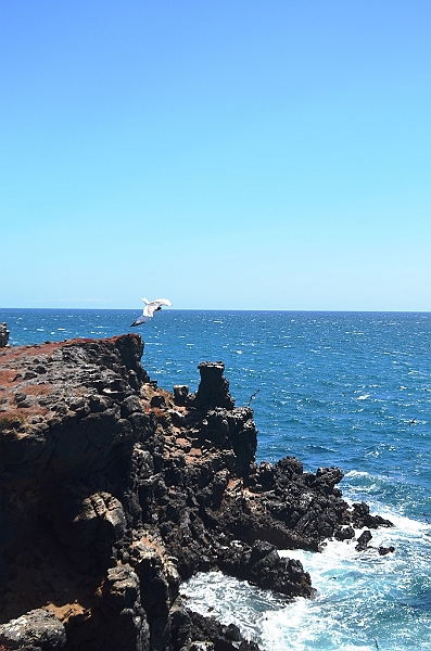 700_Ecuador_Galapagos_Islas_Plazas_South_Boot_Tour.JPG