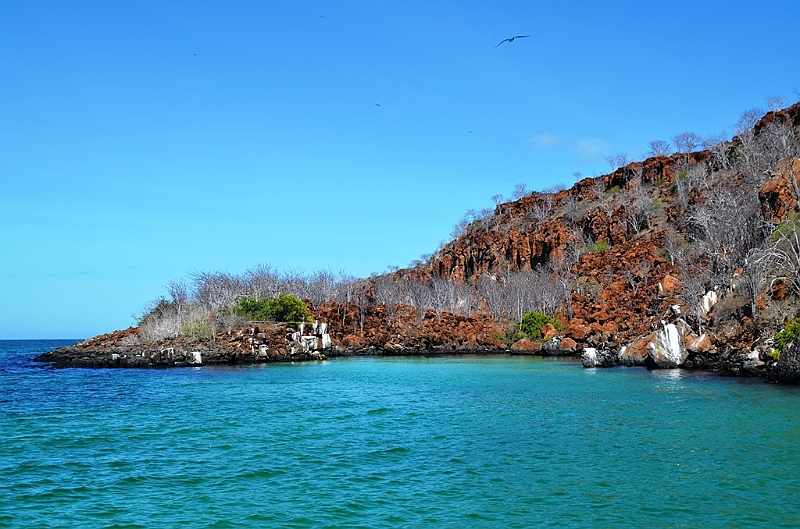 710_Ecuador_Galapagos_Islas_Plazas_South_Boot_Tour.JPG