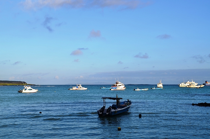 720_Ecuador_Galapagos_Santa_Cruz_Puerto_Ayora.JPG