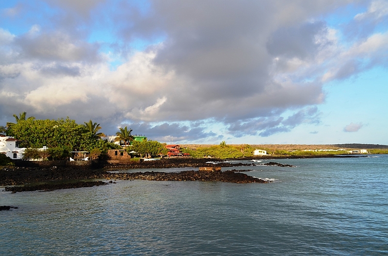 721_Ecuador_Galapagos_Santa_Cruz_Puerto_Ayora.JPG