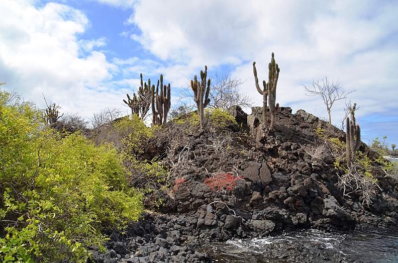 777_Ecuador_Galapagos_Island_Floreana.JPG
