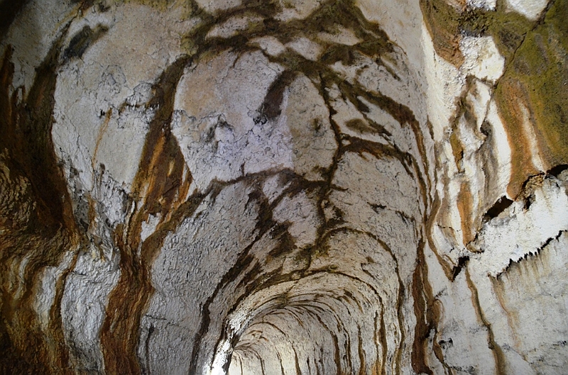 824_Ecuador_Galapagos_Santa_Cruz_Lava_Tunnels.JPG