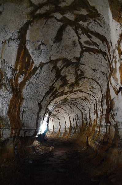 825_Ecuador_Galapagos_Santa_Cruz_Lava_Tunnels.JPG