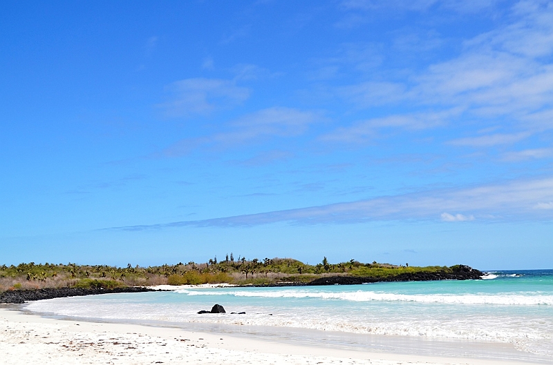 846_Ecuador_Galapagos_Santa_Cruz_Tortuga_Bay.JPG