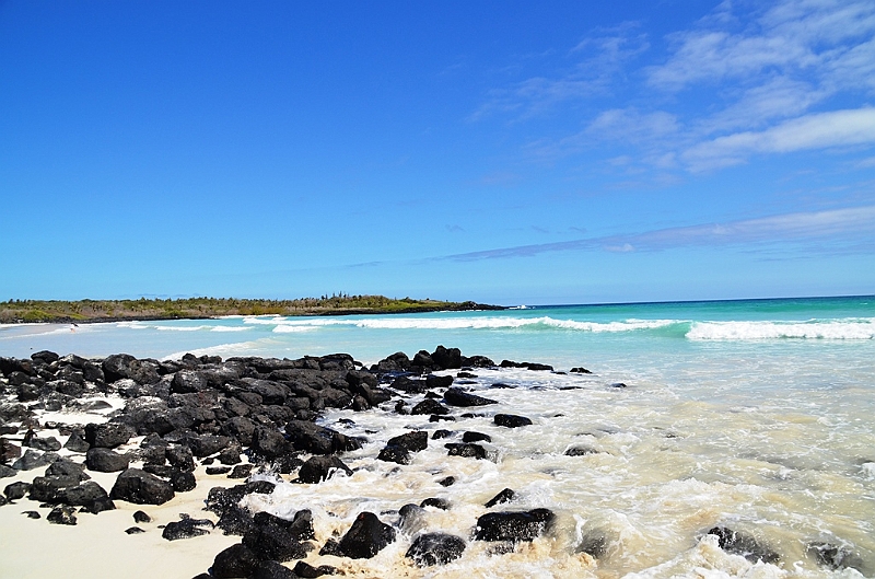 850_Ecuador_Galapagos_Santa_Cruz_Tortuga_Bay.JPG