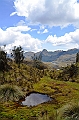 524_Ecuador_Parque_Nacional_Cajas