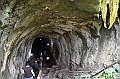821_Ecuador_Galapagos_Santa_Cruz_Lava_Tunnels