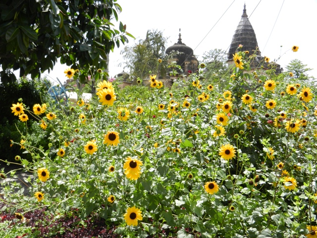 361_India_Orchha_Hotel.JPG - 