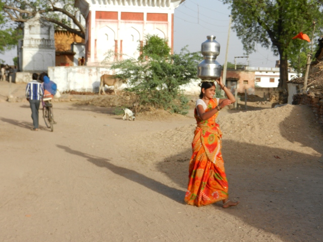 403_India_Alipura.JPG - 