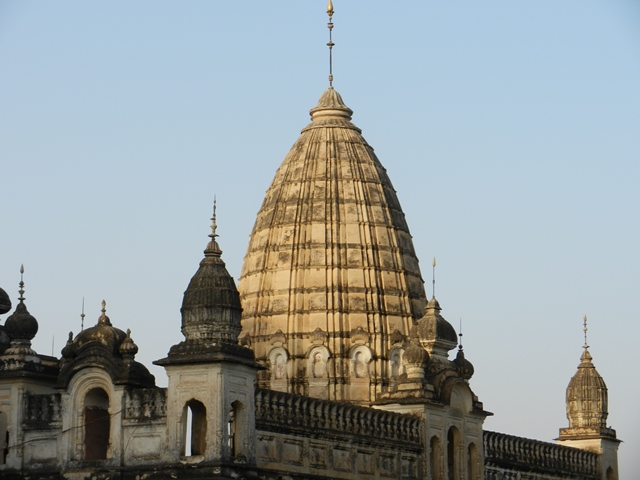 406_India_Alipura.JPG - 