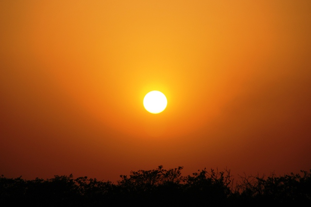 470_India_Alipura_Sunset.JPG