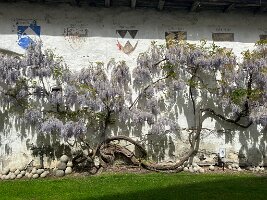 017_Italien_Suedtirol_Dolomiten_Burg_Rodenegg