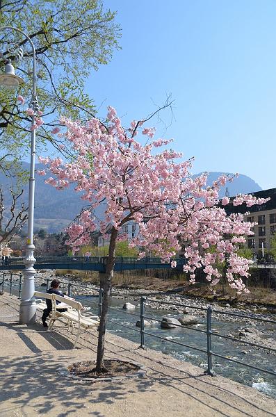 083_Italy_Meran.JPG