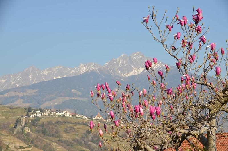 084_Italy_Meran.JPG