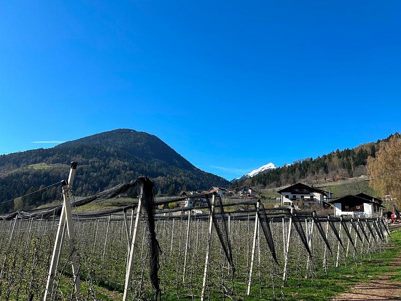 070_Italy_Voellan.JPG