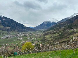 026_Italien_Suedtirol_Dorf_Tirol