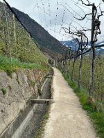075_Italien_Suedtirol_Algunder_Waalweg