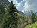 172_Italien_Suedtirol_Matscher_Tal