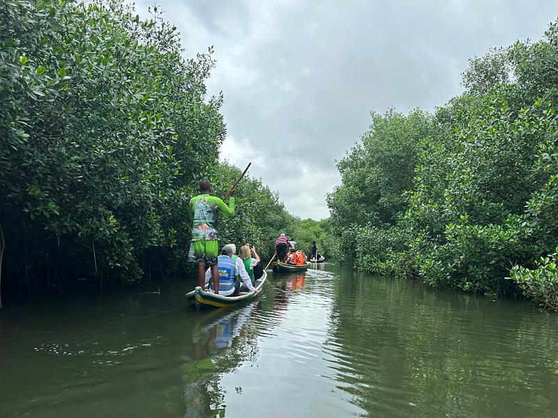 144_Colombia_Cartagena_Manglar.JPG