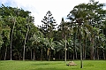 056_Mauritius_North_Sir_Seewoosagur_Ramgoolam_Botanical_Gardens06