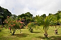 070_Mauritius_North_Sir_Seewoosagur_Ramgoolam_Botanical_Gardens20