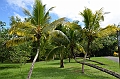 073_Mauritius_North_Sir_Seewoosagur_Ramgoolam_Botanical_Gardens23