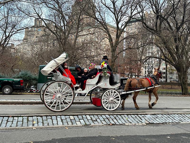 113_USA_New_York_City.JPG