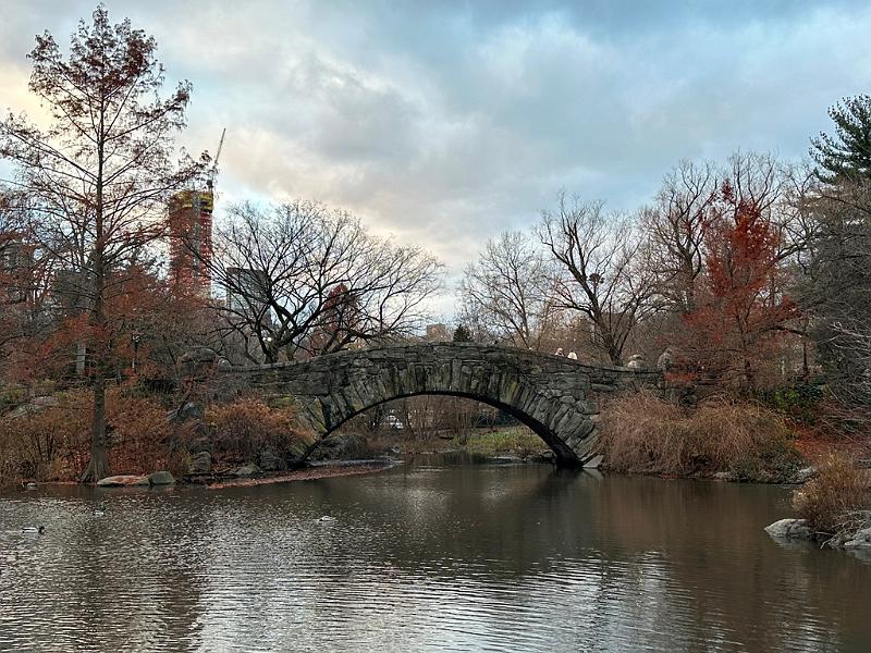 114_USA_New_York_City_Central_Park.JPG