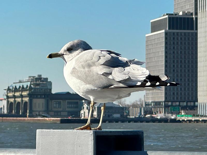 192_USA_New_York_City.JPG