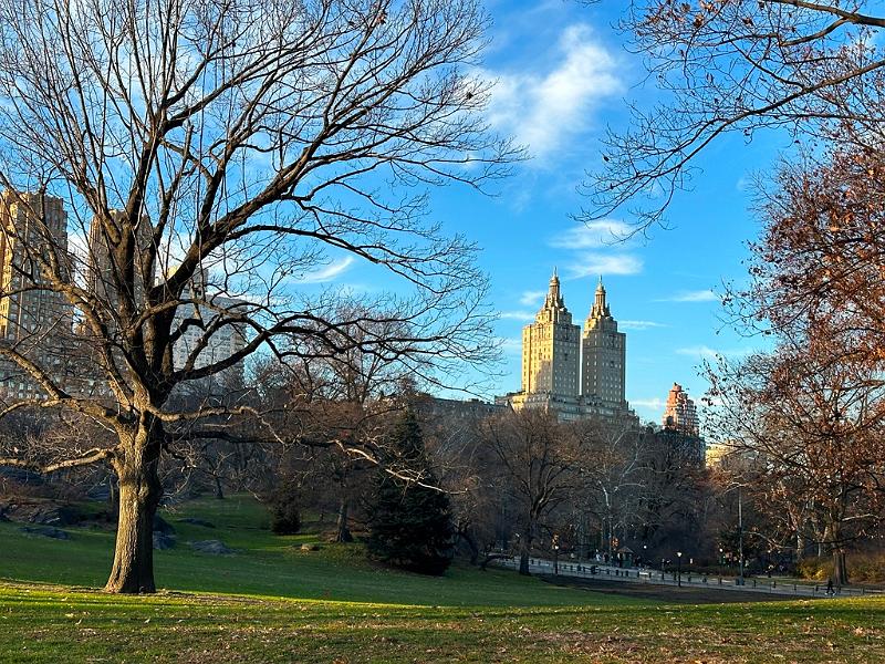 226_USA_New_York_City_Central_Park.JPG