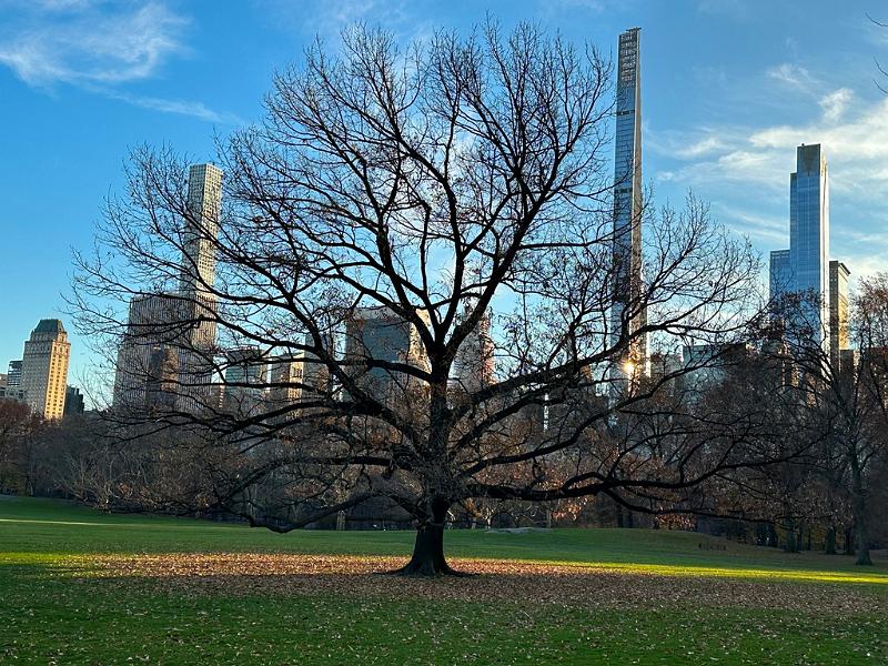 228_USA_New_York_City_Central_Park.JPG