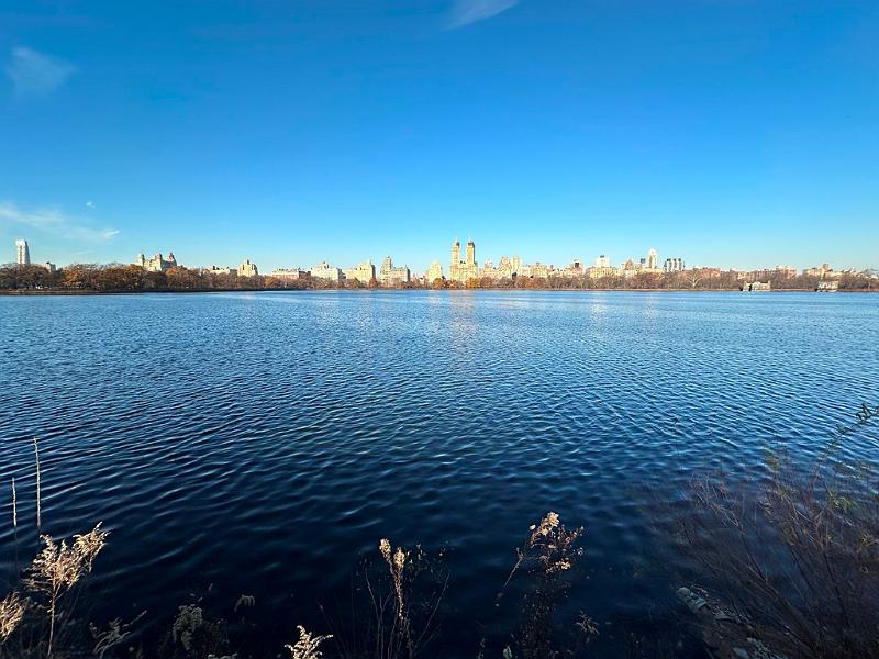260_USA_New_York_City_Central_Park.JPG